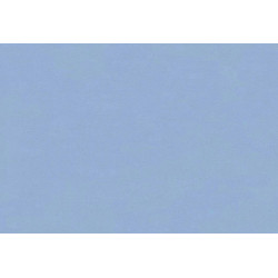 Caribbean Plain 27280