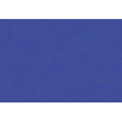 Caribbean Plain 27281