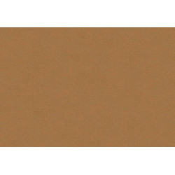 Caribbean Plain 27282