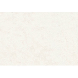 Caribbean Plain 27285