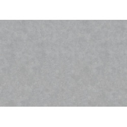 Caribbean Plain 27286