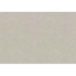 Caribbean Plain 27287