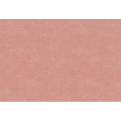 Caribbean Plain 27288