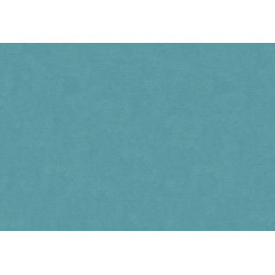 Caribbean Plain 27289