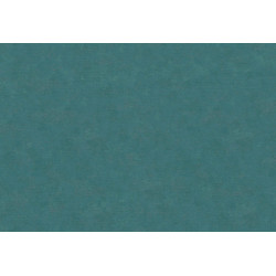 Caribbean Plain 27290