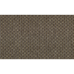 WildWalk Ferox 28061 Espresso