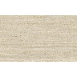 Textura Lignes 40500A Champagne