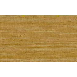 Textura Lignes 40501A Ochre