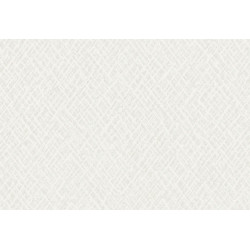 Terra Cotta Print 2 42107