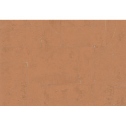 Terra Cotta Print 3 42118