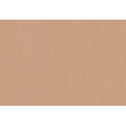 Terra Cotta Plain 3 42134
