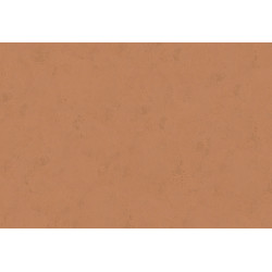 Terra Cotta Plain 4 42138