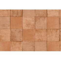 Terra Cotta Print 4 42144