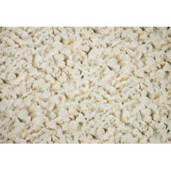 Liaison Lunaria 46310