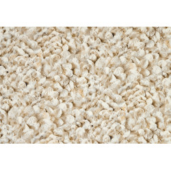 Liaison Lunaria 46313