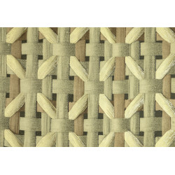 Liaison Raw Silk 46322