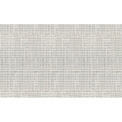 Arte Yumiko Nara 6052