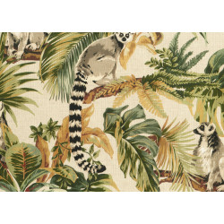 Lemuria Lemuri 60601