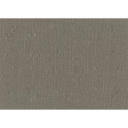 Lemuria Baobab 60633