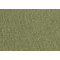 Lemuria Baobab 60635