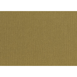 Lemuria Baobab 60636