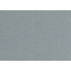 Lemuria Baobab 60638