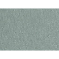 Lemuria Baobab 60639