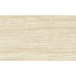 Textura Tasar 72025A Latte