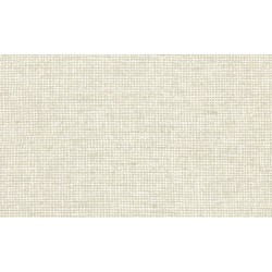 Essentials - Les Nuances Chanderi 91500 Pillow