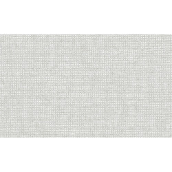 Essentials - Les Nuances Chanderi 91502 Moonshine