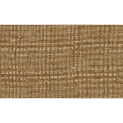 Essentials - Les Nuances Chanderi 91510 Toffee