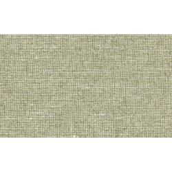 Essentials - Les Nuances Chanderi 91511 Pistachio