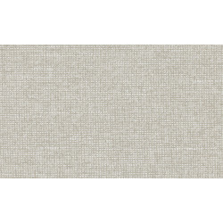 Essentials - Les Nuances Chanderi 91515 Seagull Grey