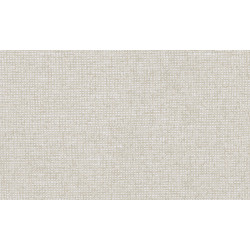 Essentials - Les Nuances Chanderi 91516 Powder Beige