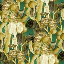 Arte Décors & Panoramiques Les Grenouilles de Chavroches 97510 Camouflage