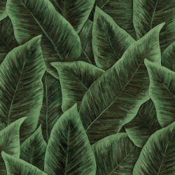 Arte Décors & Panoramiques Bird of Paradise 97572 Emerald