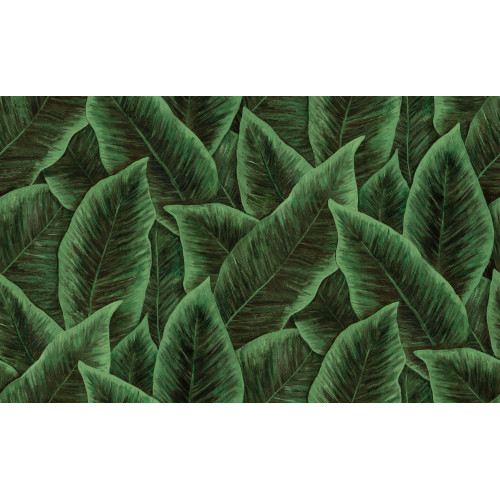 Arte Décors & Panoramiques Bird of Paradise 97572 Emerald