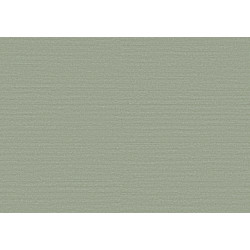 Birds of Paradise Silky BOP301