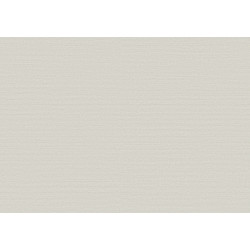 Birds of Paradise Silky BOP304