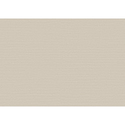 Birds of Paradise Silky BOP305