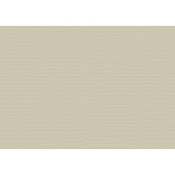 Birds of Paradise Silky BOP307