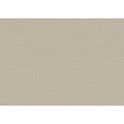 Birds of Paradise Silky BOP308