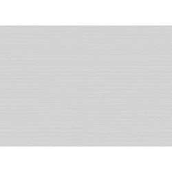 Birds of Paradise Silky BOP309