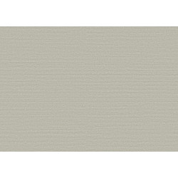 Birds of Paradise Silky BOP310