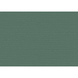 Birds of Paradise Silky BOP315