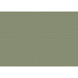 Birds of Paradise Silky BOP316