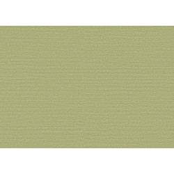 Birds of Paradise Silky BOP317