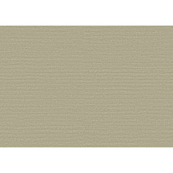 Birds of Paradise Silky BOP318