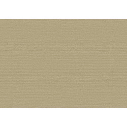 Birds of Paradise Silky BOP319