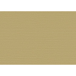 Birds of Paradise Silky BOP320